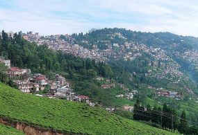 Best Hill Stations in India for a Revitalising Vacation