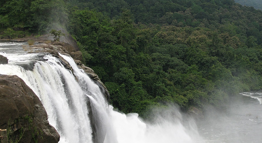 Rainforest-Resort,-Athirapally-Falls,-Kerala