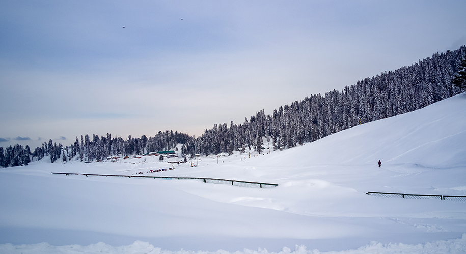 Ski-in-Gulmarg