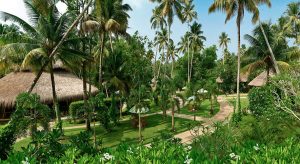 Carnoustie-Ayurveda & Wellness Resort