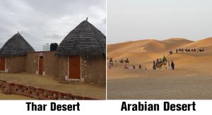 Thar-and-Arabian-Desert