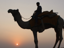 Best Things to do on a Jaisalmer Trip