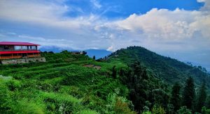Kanatal,-Uttarakhand