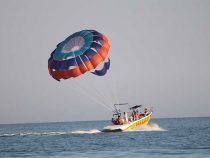 Top 11 Things to do in Goa