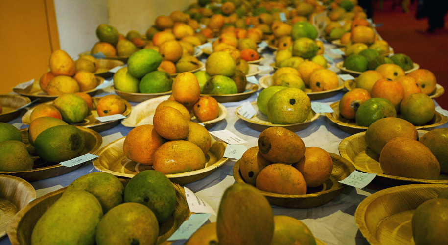 International Mango Festival