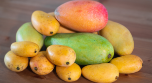 Mango Species