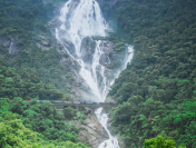 Dudhsagar Falls in Goa: How To Reach, Best Time to Visit