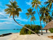Coastal Dreams & Coconut Palms: Exploring India’s Tropical Beaches