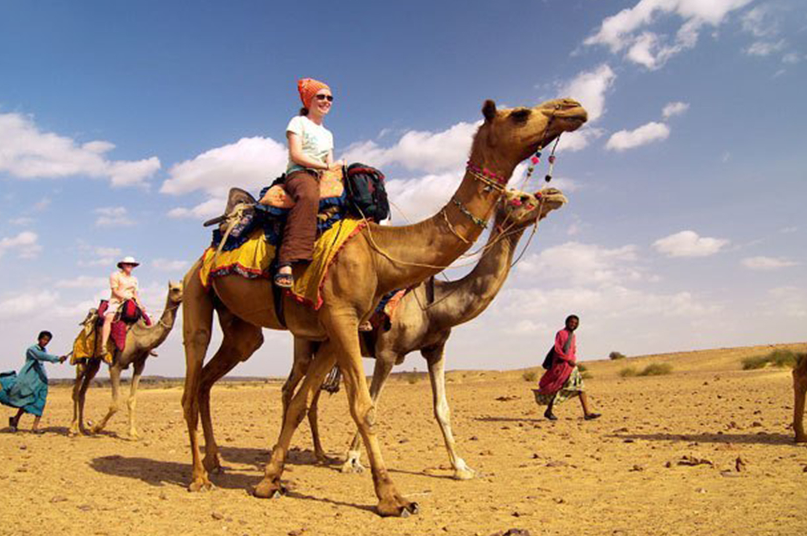 bishnoi