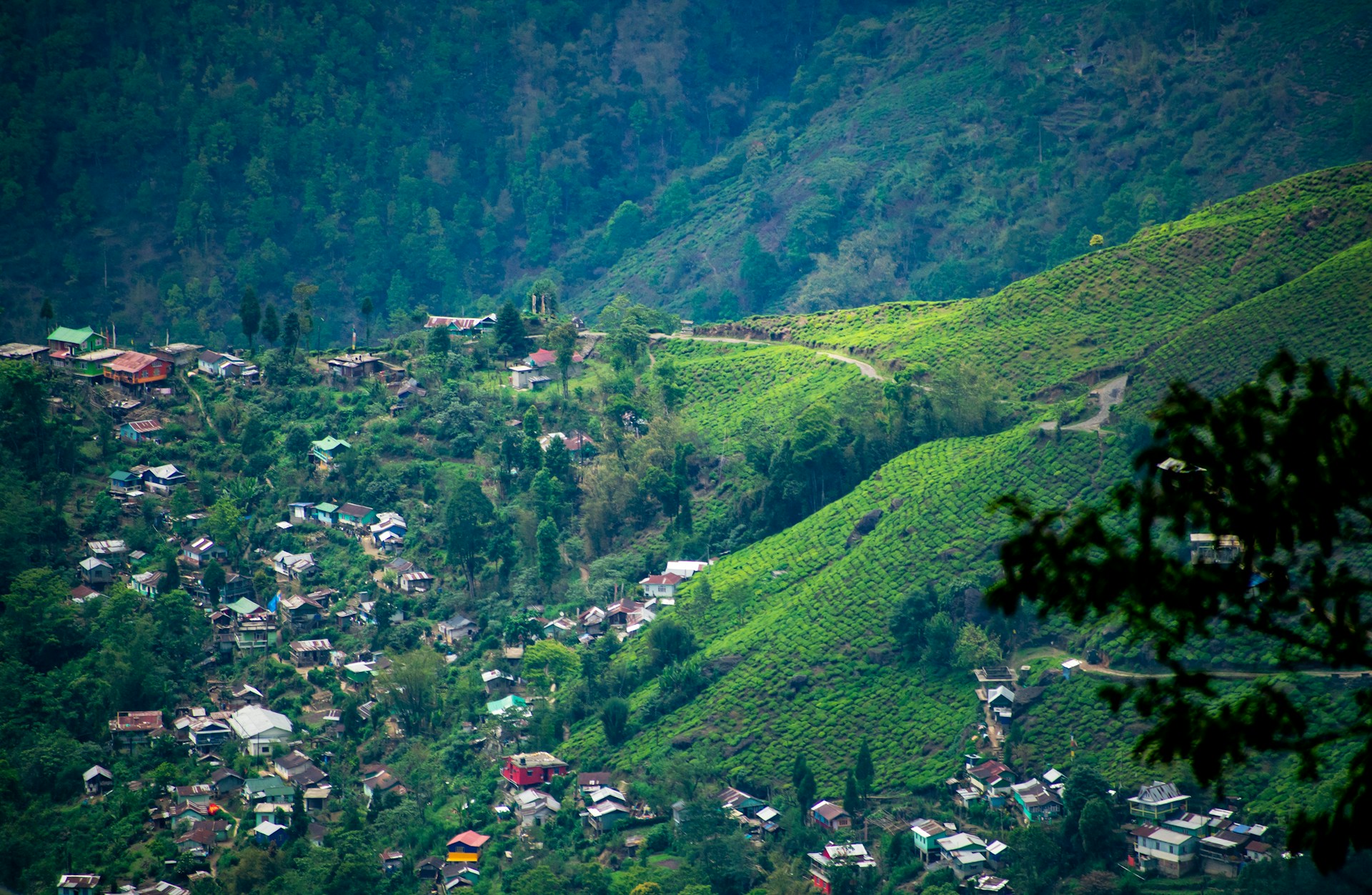 Darjeeling