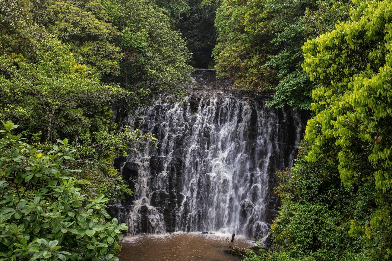 elephant falls