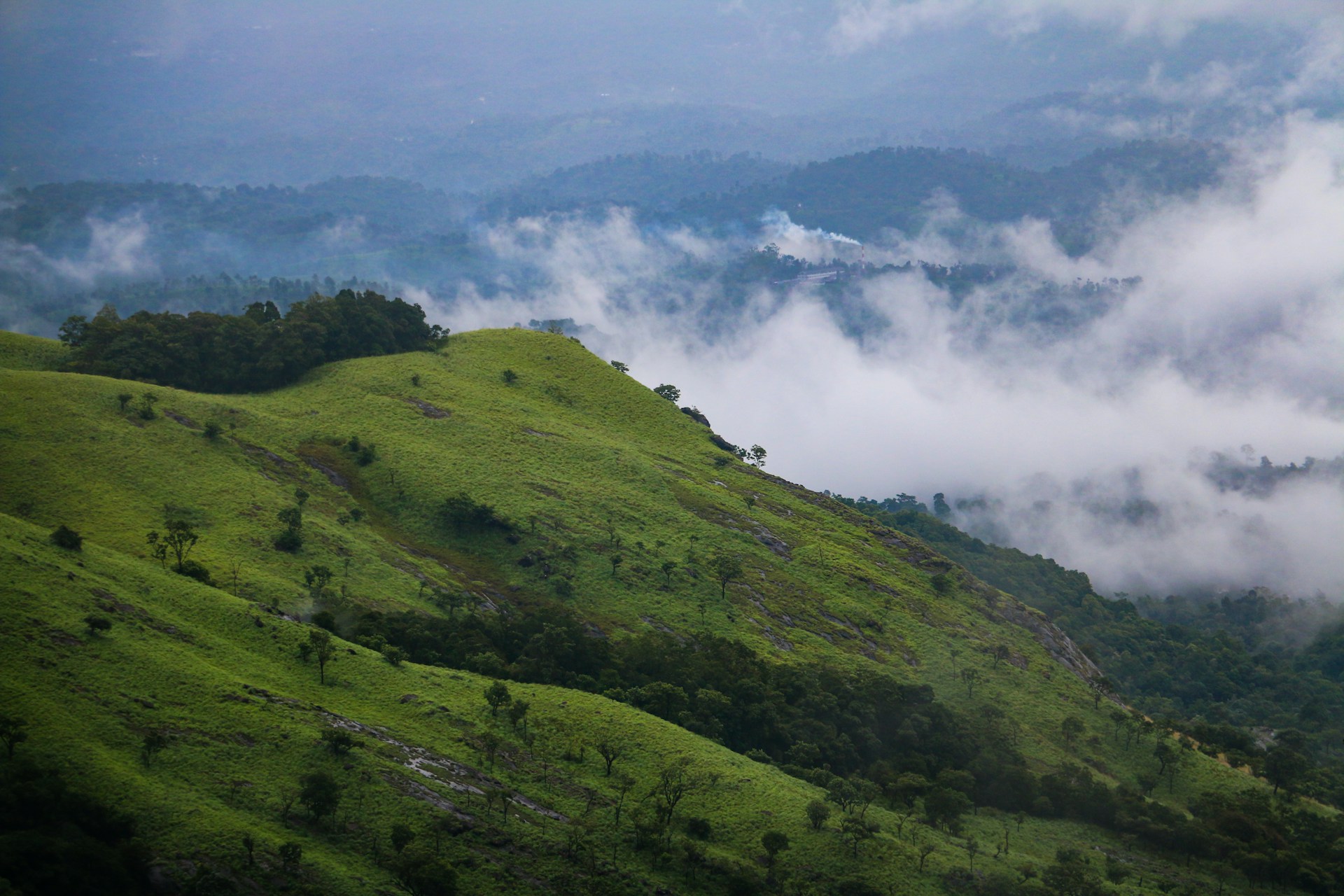 Wayanad