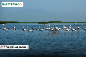Chilika Lake, Odisha