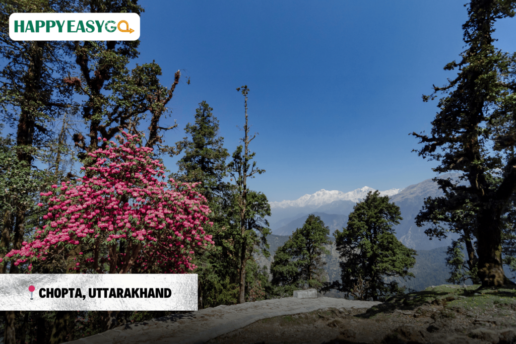 Chopta, Uttarakhand