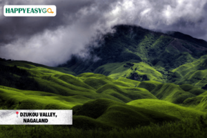 Dzukou Valley, Nagaland
