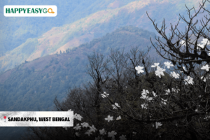 Sandakphu, West Bengal