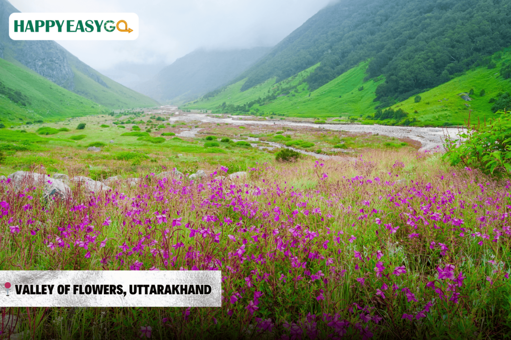 Valley of Flowers, Uttarakhand