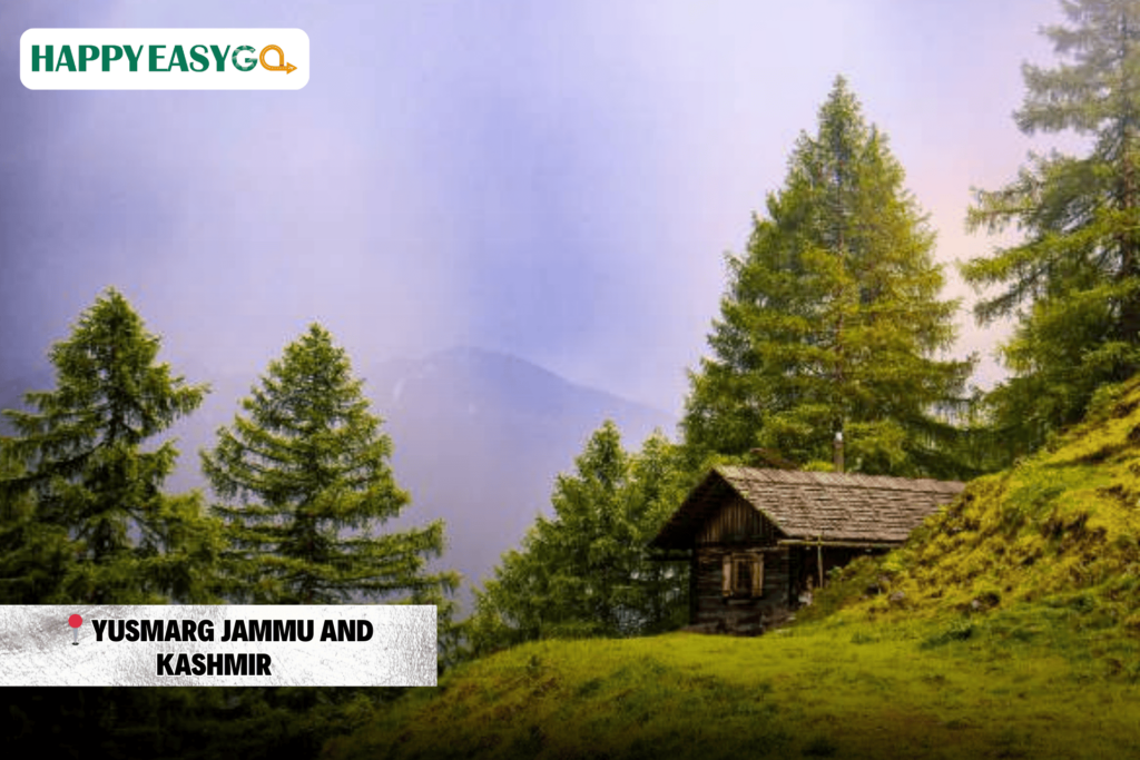 Yusmarg Jammu and Kashmir