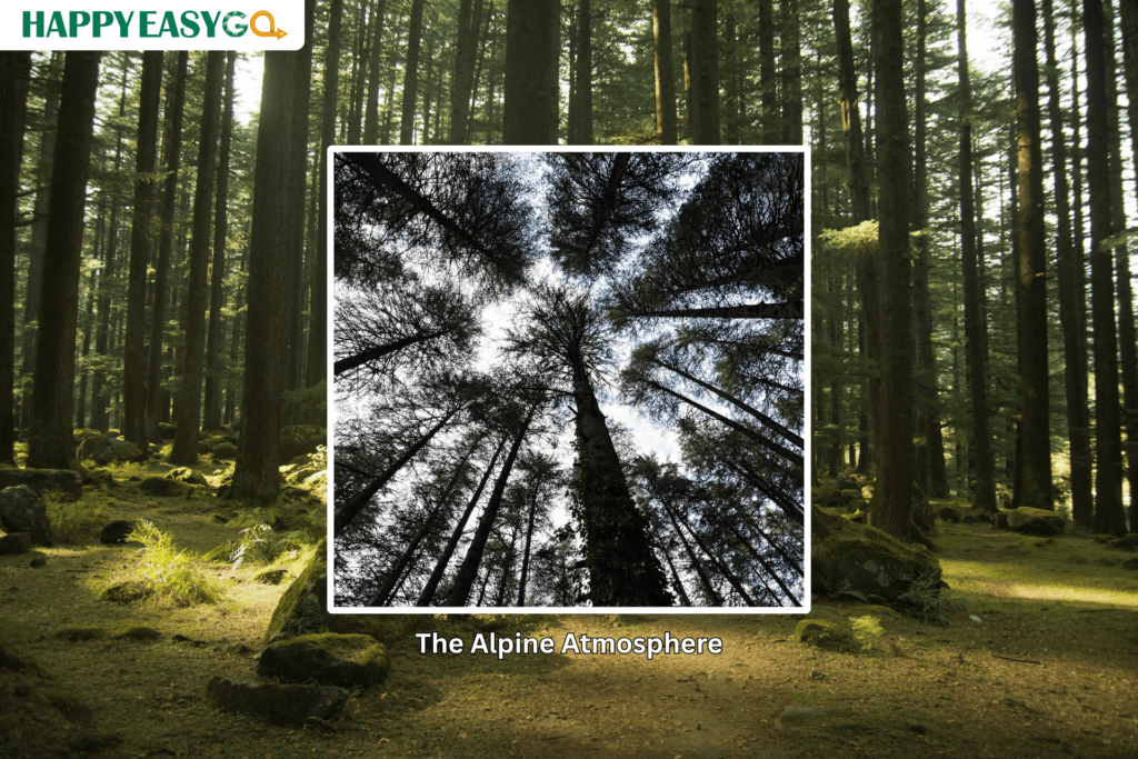 The Alpine Atmosphere