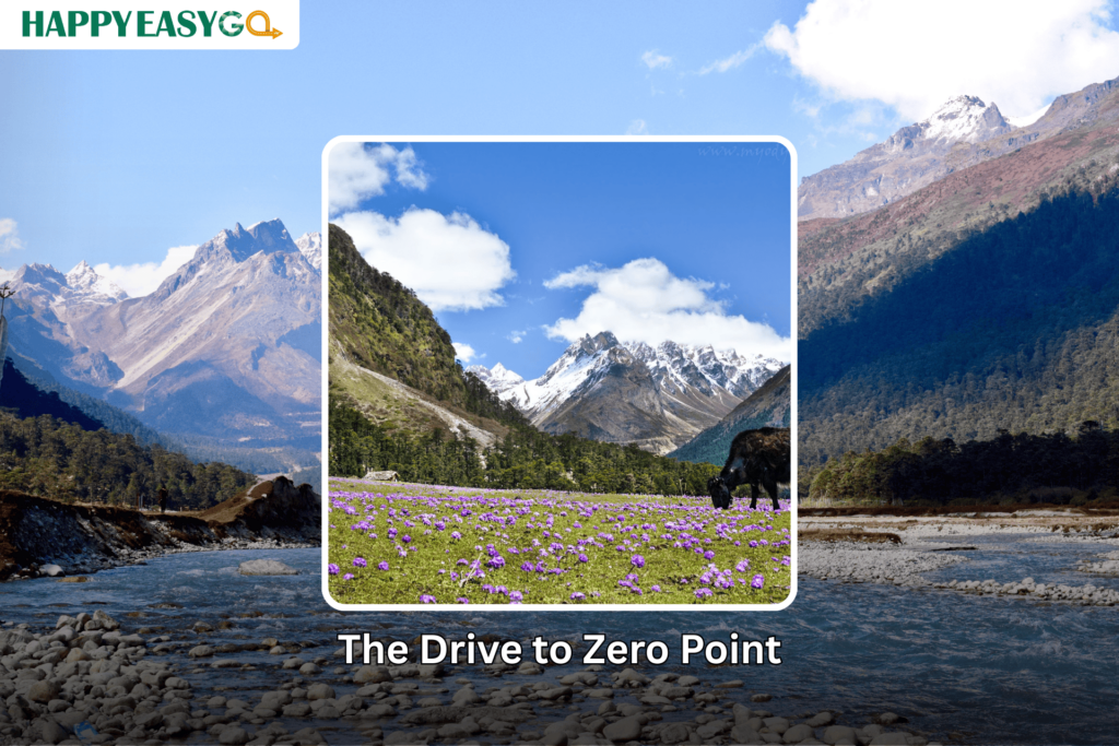 The Drive to Zero Point