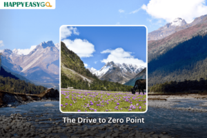 The Drive to Zero Point